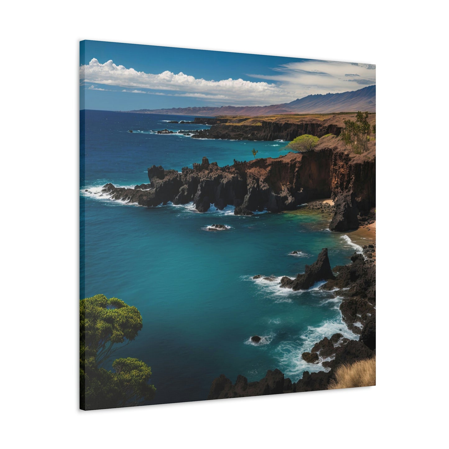 Seashell Cottage | Canvas
