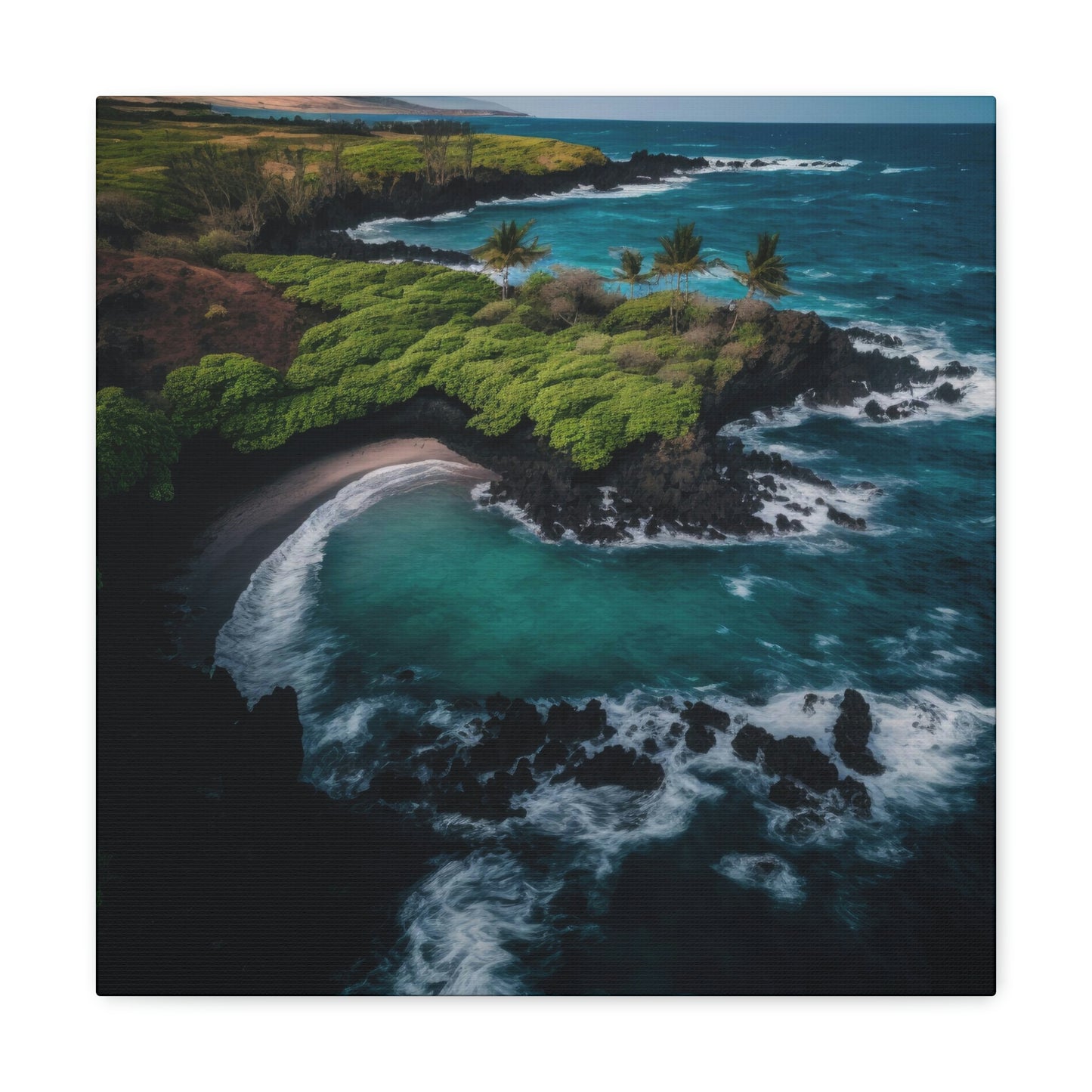 Tropical Paradise Rentals | Canvas