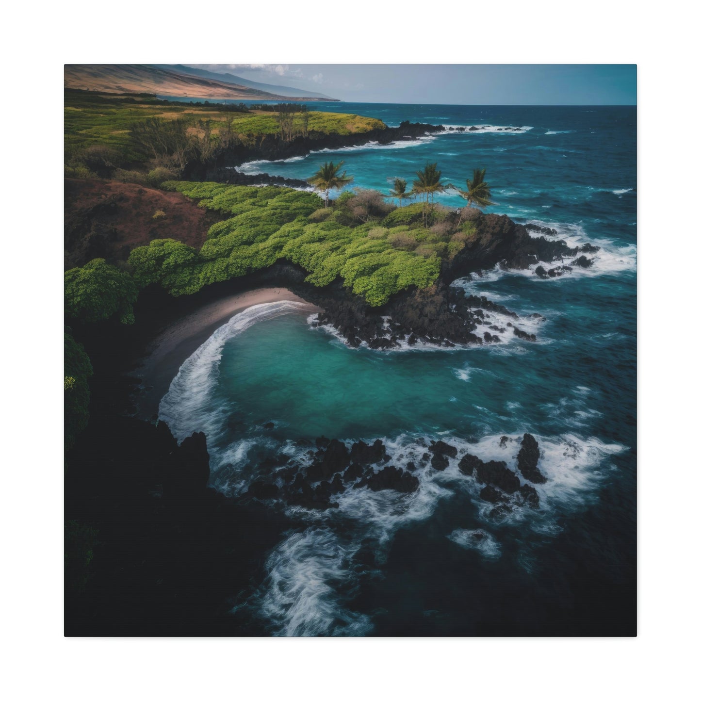 Tropical Paradise Rentals | Canvas