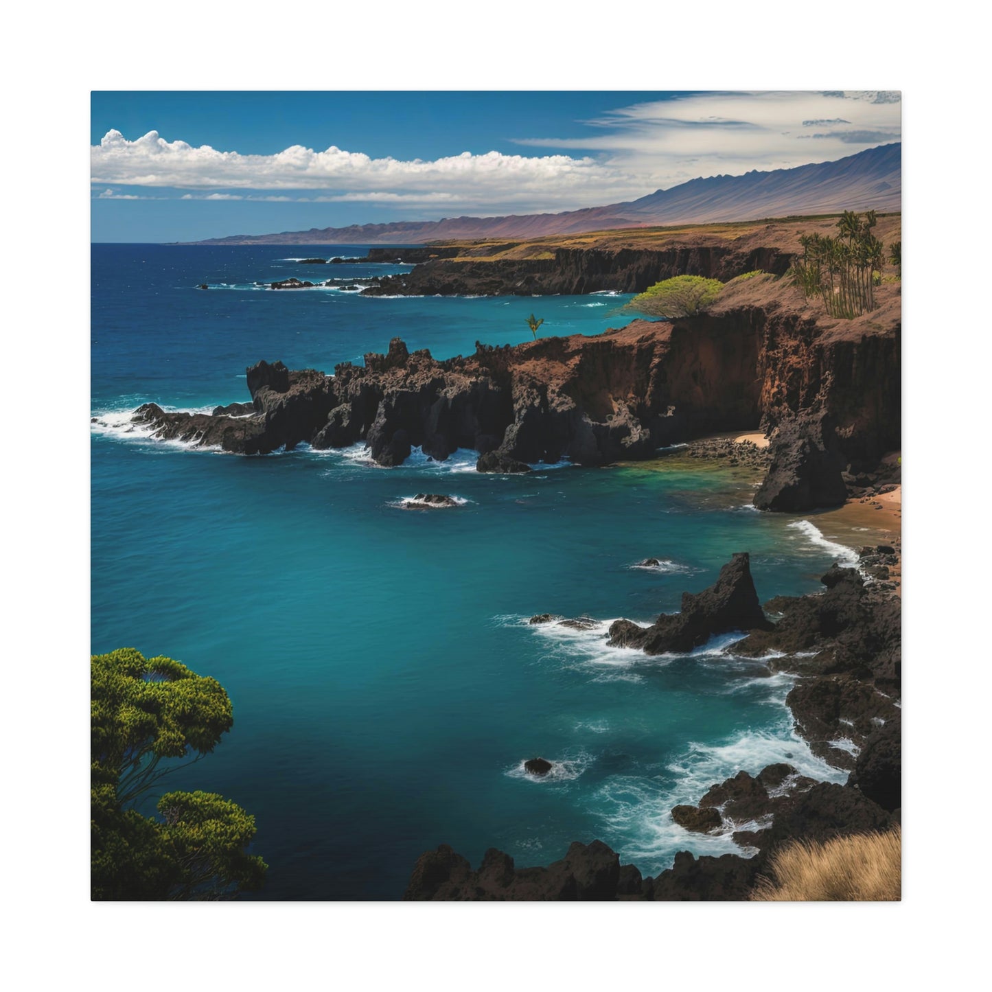 Seashell Cottage | Canvas