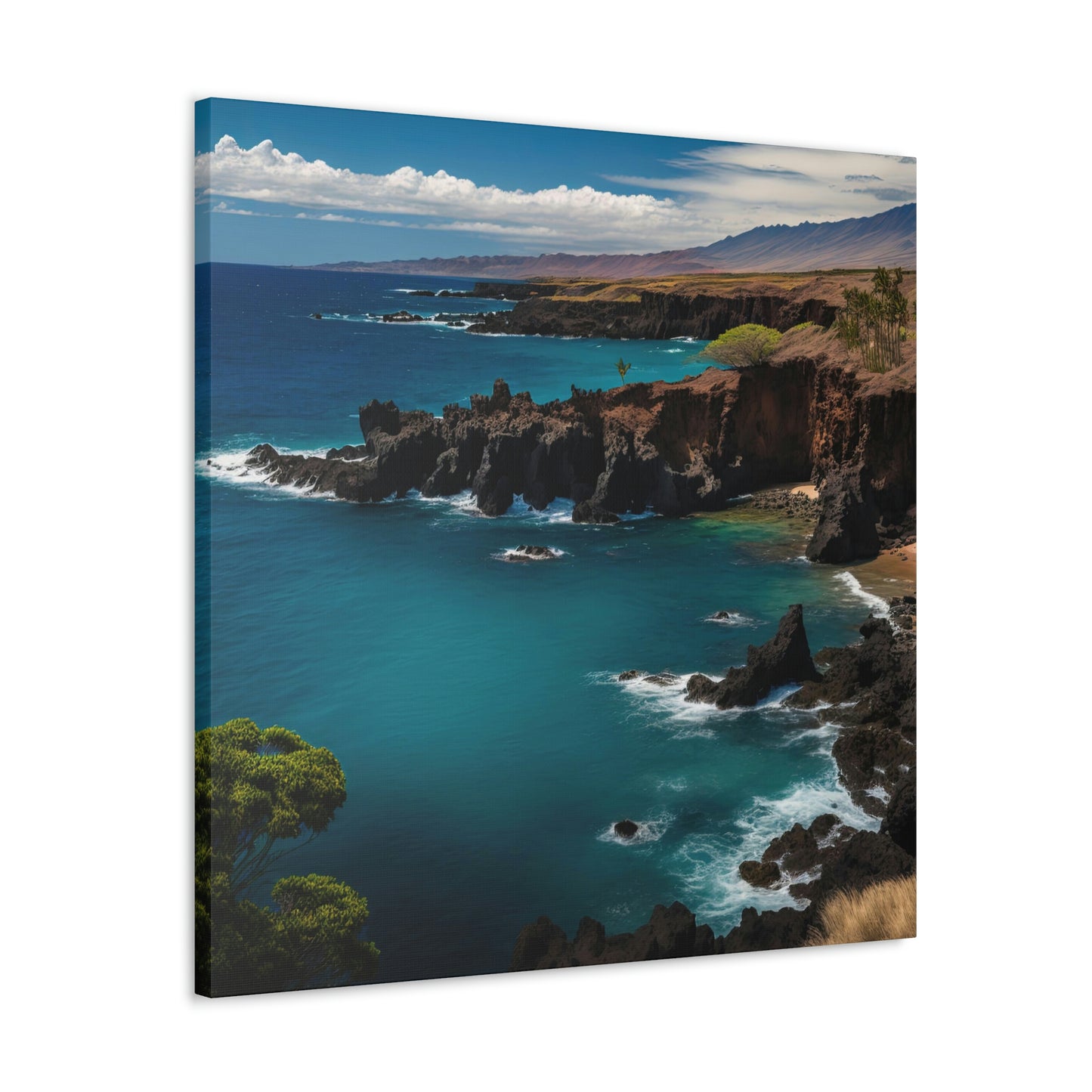 Seashell Cottage | Canvas