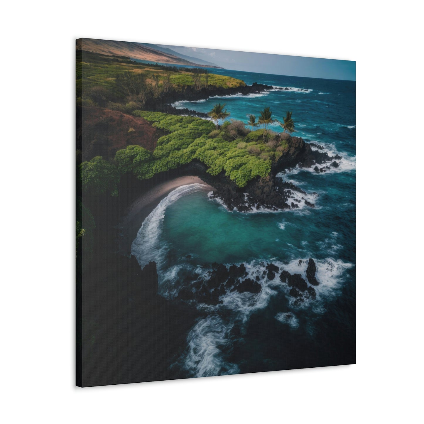 Tropical Paradise Rentals | Canvas