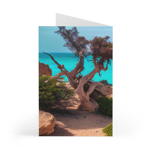 Sunny Seaside Escape | Greeting Cards