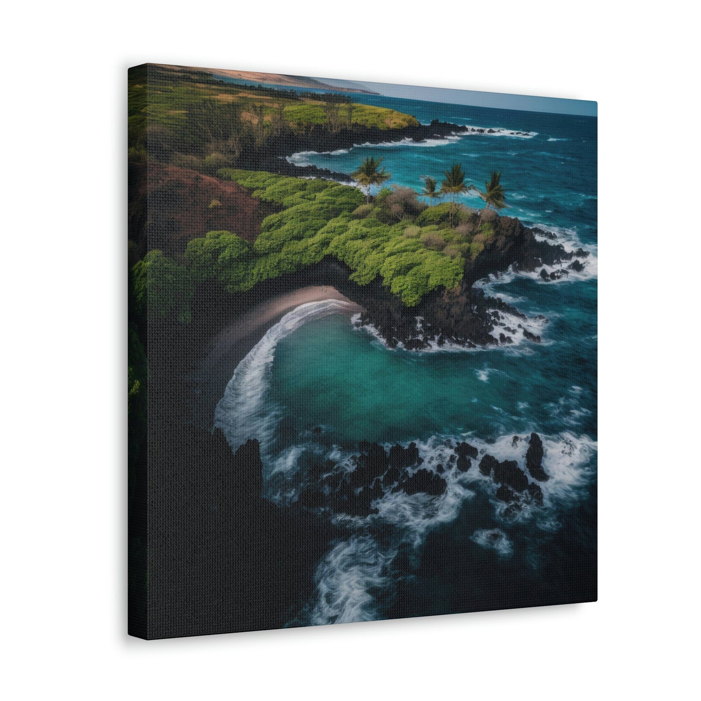 Tropical Paradise Rentals | Canvas
