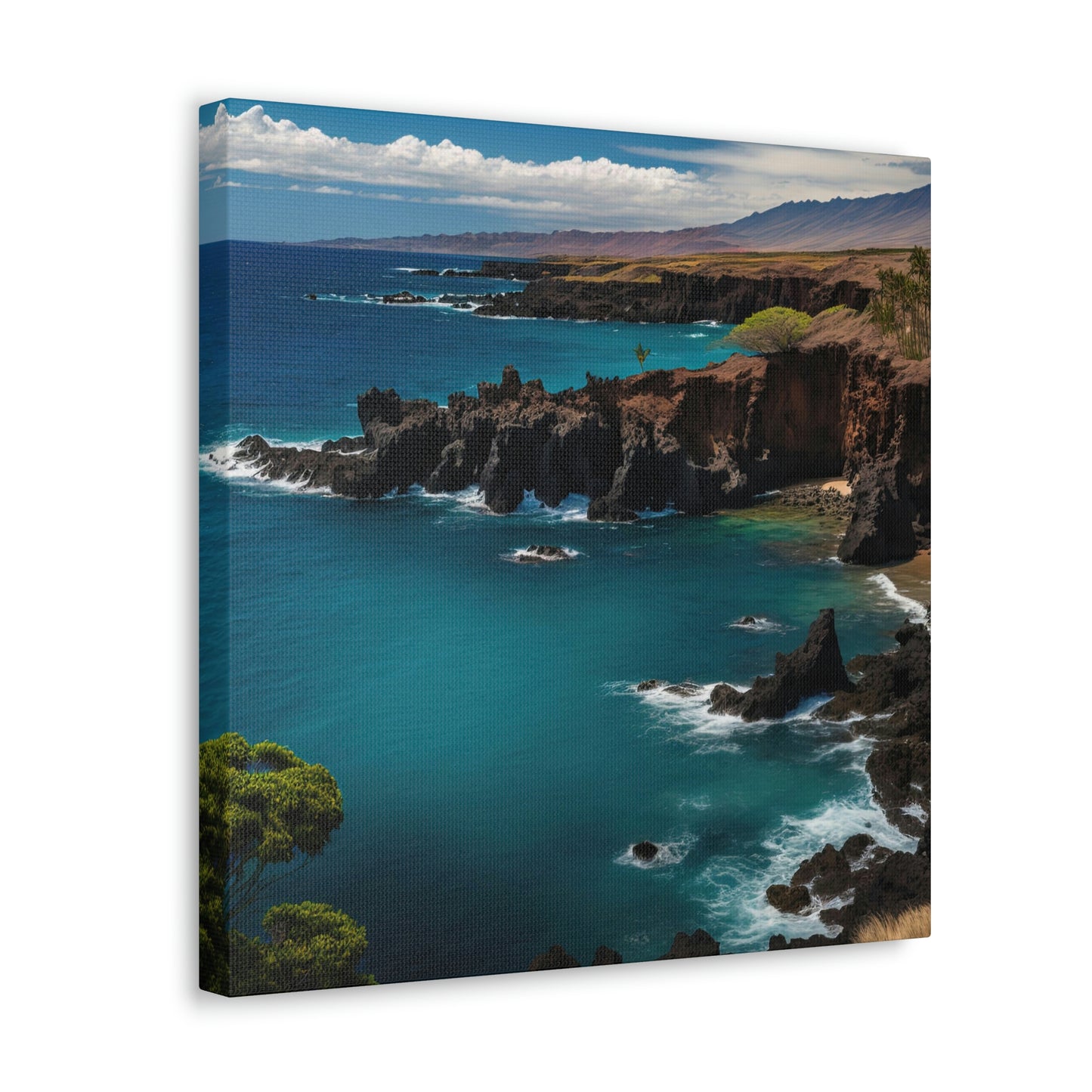 Seashell Cottage | Canvas