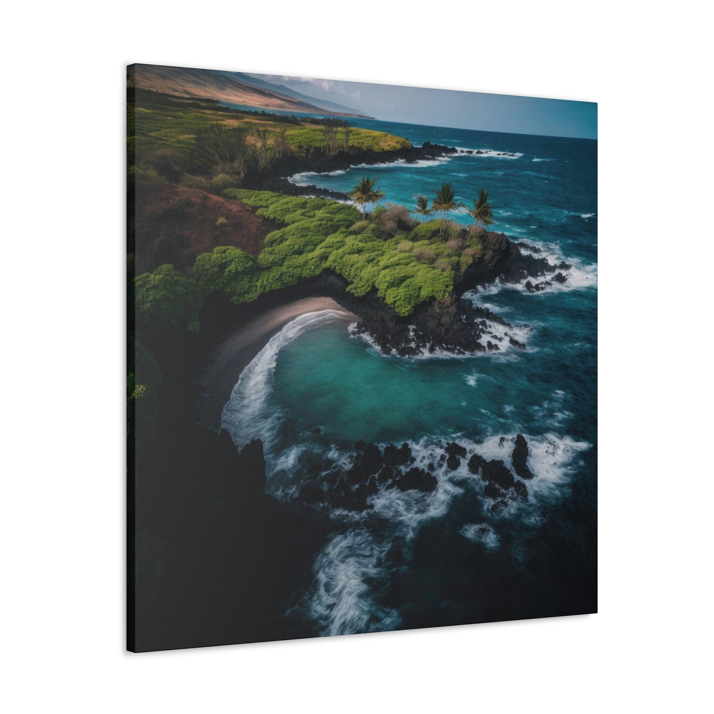 Tropical Paradise Rentals | Canvas