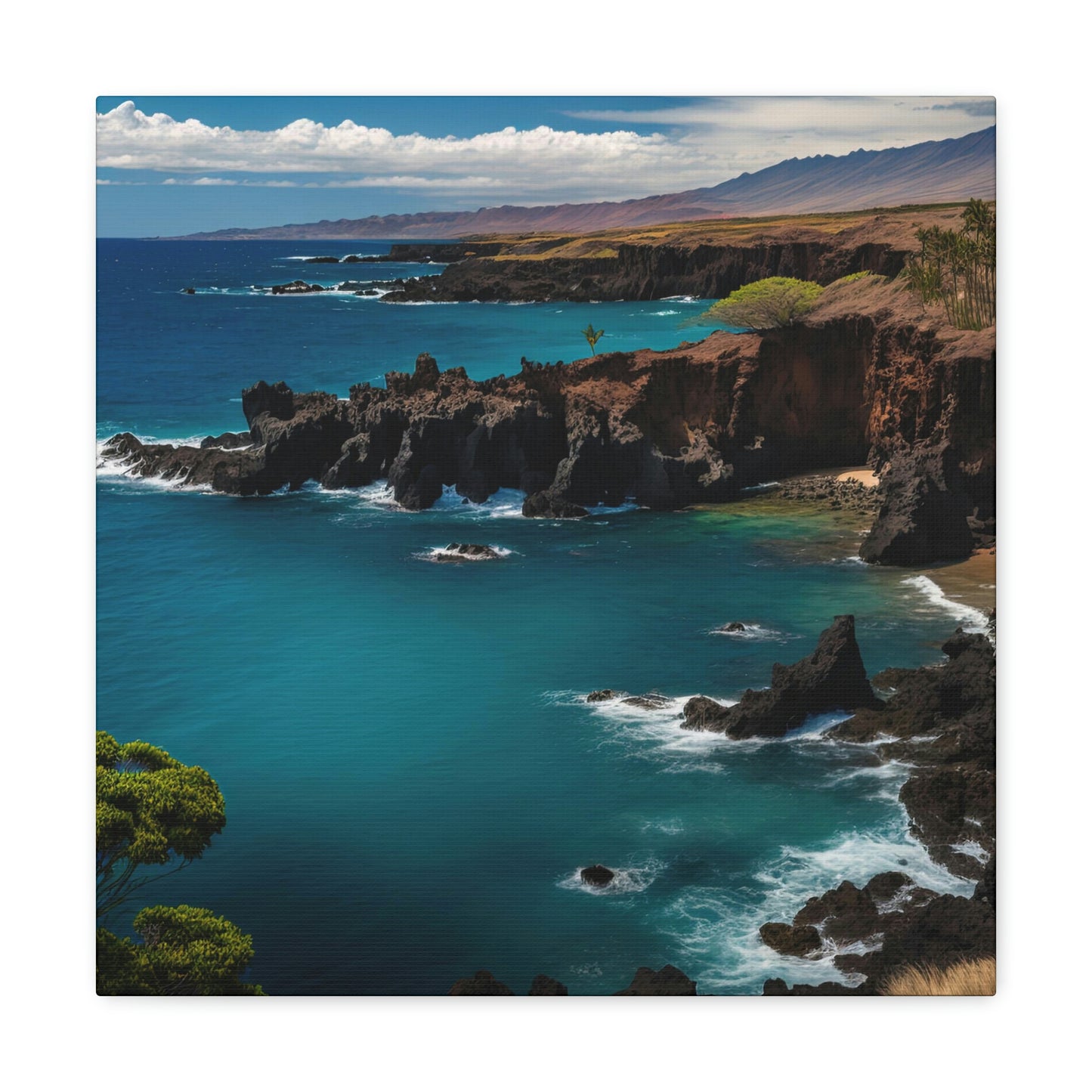 Seashell Cottage | Canvas