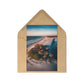 Tropical Oasis | Postcard